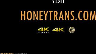 Seksi Latina Trans Evelliny Mouna ile Islak Am Aksiyonu