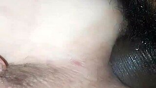 A group of friends getting wild in an adventure