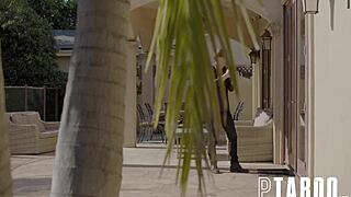 chad alva and charlotte sins in lapdog action 😏