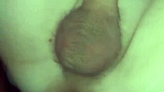 A group of friends getting wild in an adventure