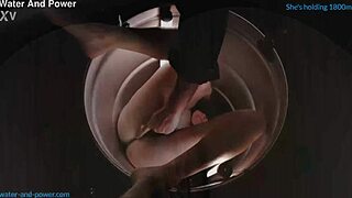 the bee got stuck in the barrel again, part three of the series, trying to escape the tight space