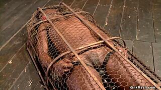 Ebony slave bound tight, fingered rough in bizarre setup