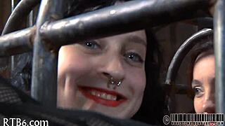 Free sadomasochism erotica