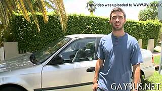 i share free photos of homosexual sex encounters