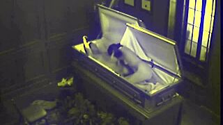 Jeg spionerede på dette par der knalder hårdt og fangede deres sædafgang på kamera