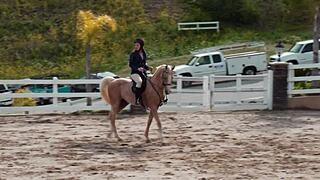 ally evans and dani daniels get it on in the horse stable 😍