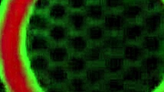 Jelena Jensen pamer tetek besar basah dan bibir memek