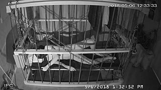 The Cagecam Provides A Non-Edited Downloaded Feed From The Cage For Bound Individuals.