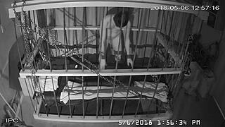 The Cagecam Provides A Non-Edited Downloaded Feed From The Cage For Bound Individuals.