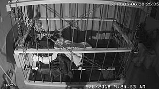 The Cagecam Provides A Non-Edited Downloaded Feed From The Cage For Bound Individuals.