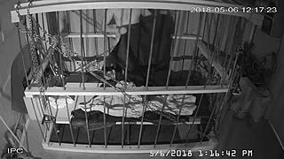 The Cagecam Provides A Non-Edited Downloaded Feed From The Cage For Bound Individuals.