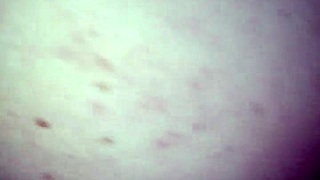 Carl lite, ready for that big black cock from your friend?