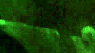 Ebony girl gives sloppy oral head like a pro 😋