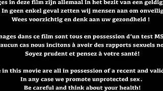 Mariskax, Sacha, and Medusa on a road trip