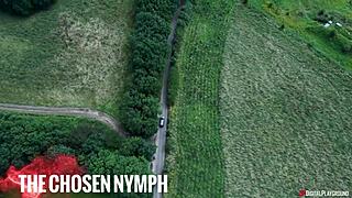 Digital Playground's top nominations at 2024 AVN Awards.