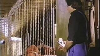 Divoké jebání scény s Patricii Rhomberg v klasickém stylu.