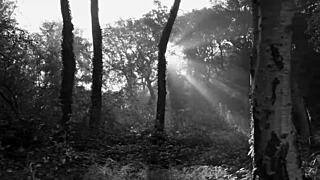 A chic chick leads to an exciting pickup.