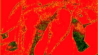 Look at this vintage erotic cartoon illustration