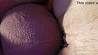 Bent over pussy fuck with ass play