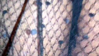 My Homemade Fantasy With Amateur Cumshot