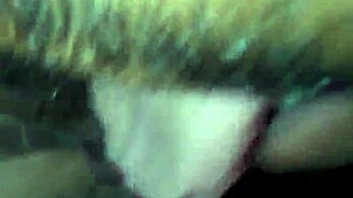 Wet Pussy Squirting During Intense Blowjob Session