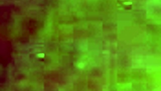 I love this brazilian ass hole