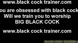 Will You Let Me Train You For All Those Cocks?