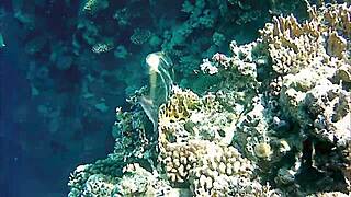 mariaold the milf flashes her huge natural tits and pussy