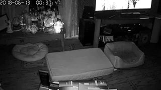 My wife gives amazing blowjobs to me