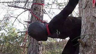 hey, tied to a tree in pantyhose and heels for rough outdoor banging!