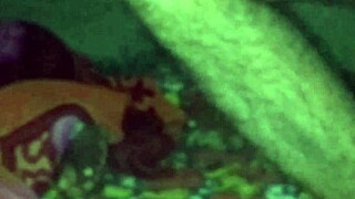 Indian guy lifts sleeping sister-in-law and fucks her