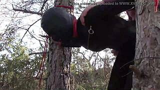 hey, tied to a tree in pantyhose and heels for rough outdoor banging!