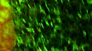 Big juicy milf ass fucked doggystyle by young guy