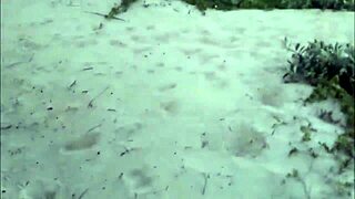 amateur big asses deepthroat and fuck in lingerie