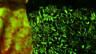 Big juicy milf ass fucked doggystyle by young guy