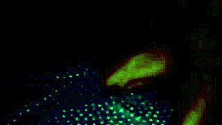 Yorgelis Kent and Erika Schwarzenberg share passionate sex in the third part.