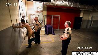 I watched two inmates get caught screwing around at work.