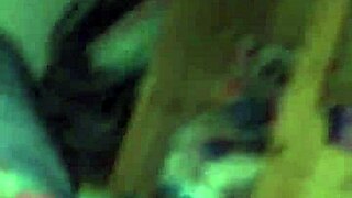 i'm the little fox living in the villa in argentina