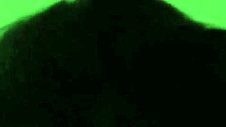 having some lunchtime fun with a blowjob