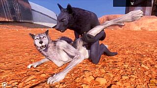 Alpha wolf enjoys tasty she-wolf in wild life adventure