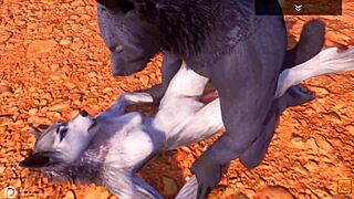 Alpha wolf enjoys tasty she-wolf in wild life adventure