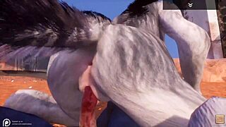 Alpha wolf enjoys tasty she-wolf in wild life adventure