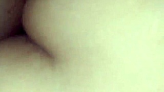 i'm the little fox living in the villa in argentina