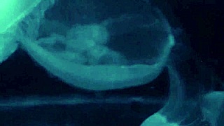 it's nothing but everything