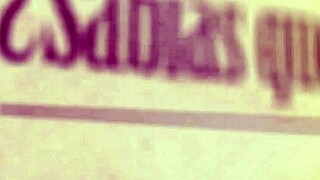 Vaka Yoko's Gender Rainbow Direct No. 15!