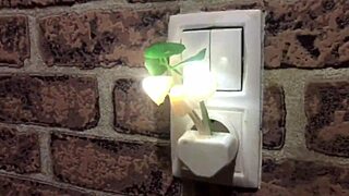 narrative about seeks exploring internetspb with big cocks