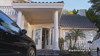 big tit black drilled hard by white in interracial blowjob action