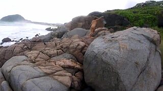 are you ready for a public walk with these big natural tits girls?