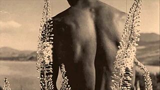 Vintage Gay Erotica from Victorian Era?