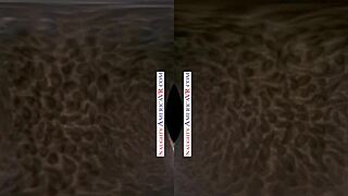 Naughty america 2 chicks same time vr with kenna james & veronica weston 😘